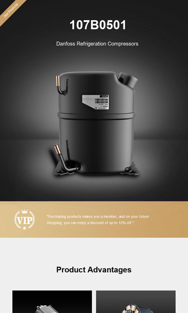 Danfoss Compressor 107B0501, technical parameters pdf, structure diagram